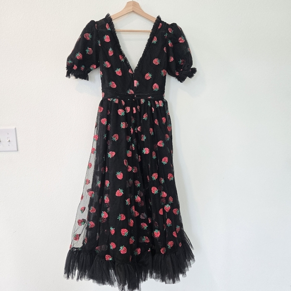Lirika Matoshi Black Strawberry Dress tulle goth cottage core Small - Picture 8 of 17